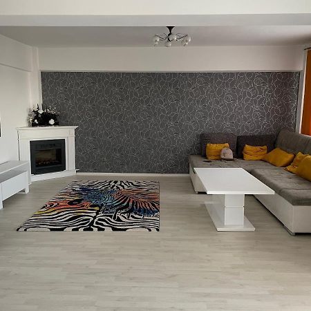 Panoramic M&M Apartment Suceava Exterior foto